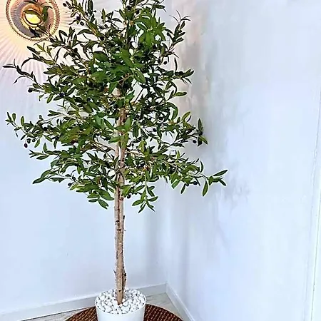 Aldara Sitges